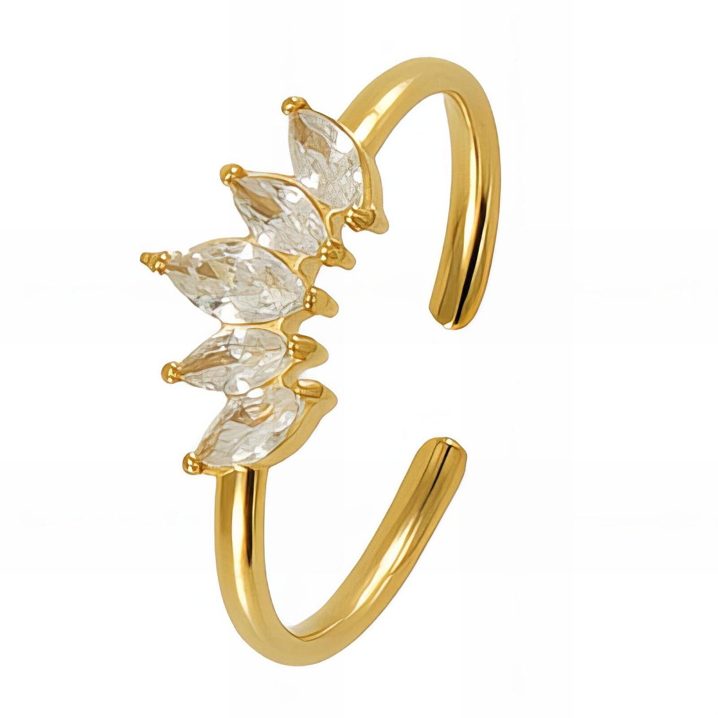 Anillo Corona de Neptuno