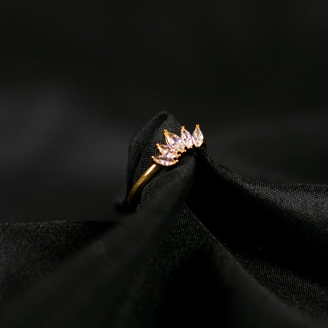 Anillo Corona de Neptuno