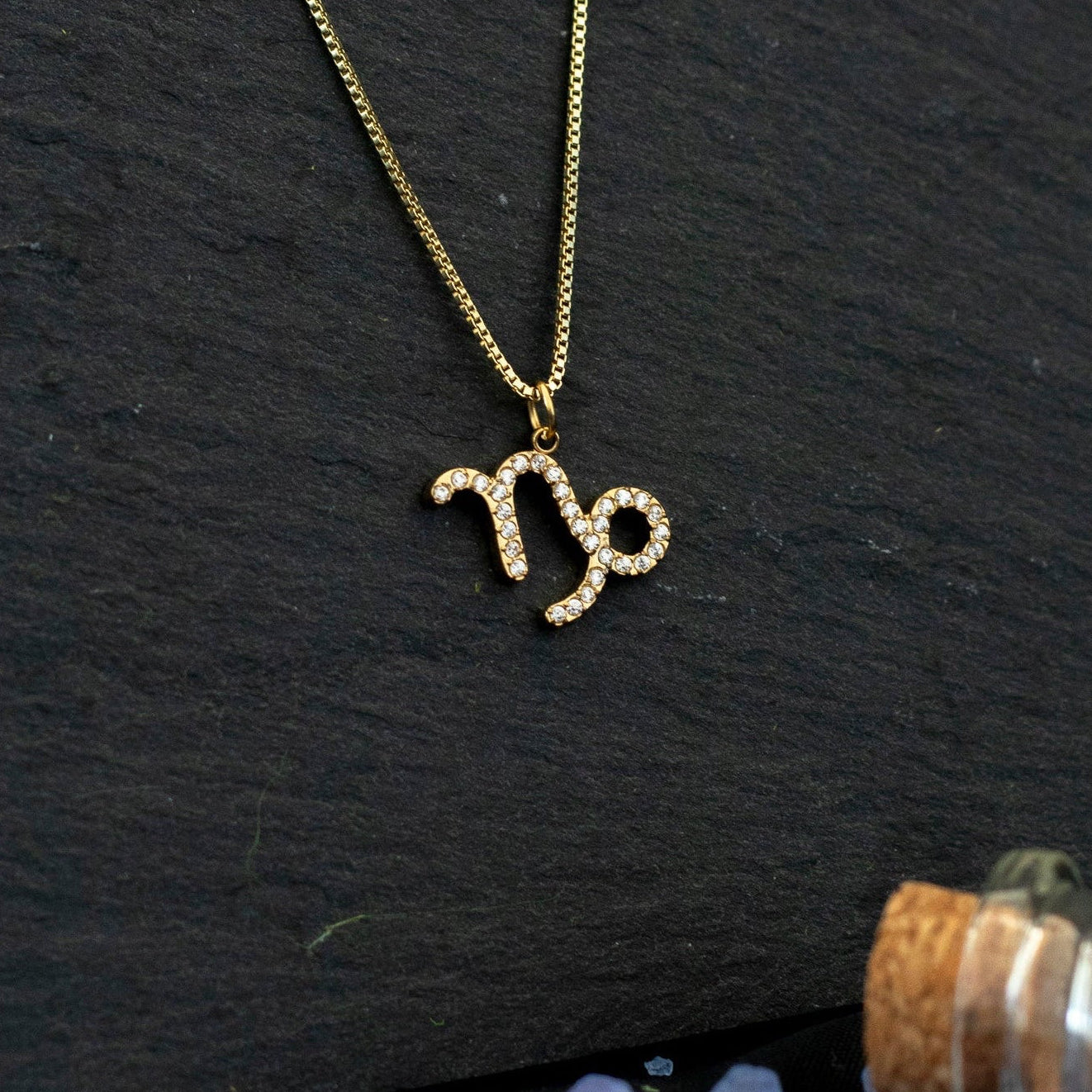 Collar Capricornio con Circones
